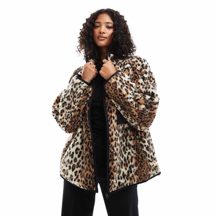 206942831-1-leopard?$n_750w$&