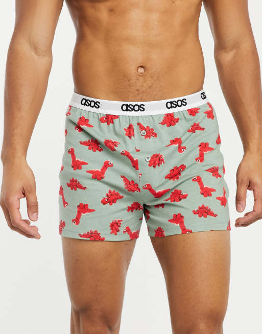 Dinosaur Print Boxers