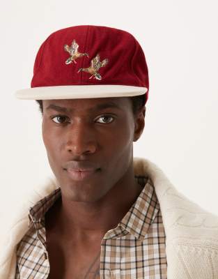 cap with contrast peak and bird graphic in burgundy-Red