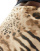 Thumbnail 5 von 5