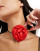 Thumbnail 4 van 4
