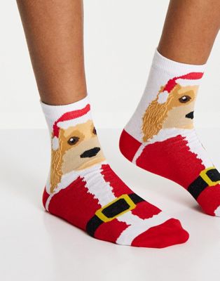 ASOS DESIGN Christmas dog in Santa outfit ankle socks in multi