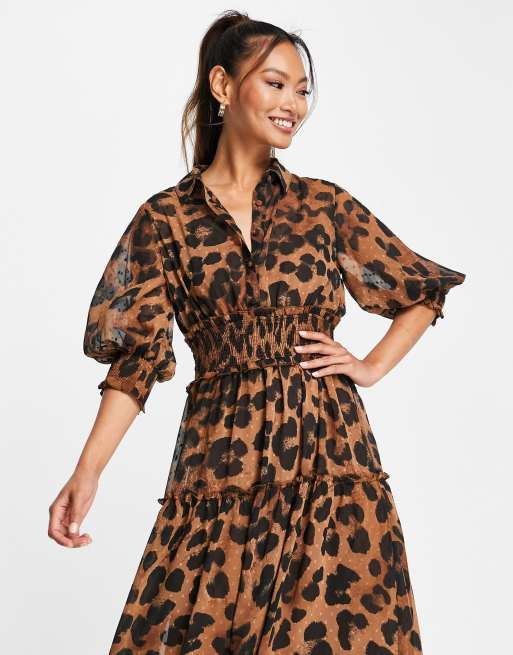 Witchery animal 2025 midi dress