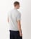 Anteprima 5 di 5