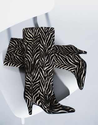 Zebra Print 1