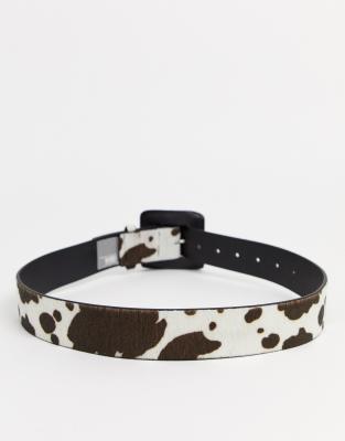 cow print dog collar
