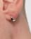 Thumbnail 4 von 4