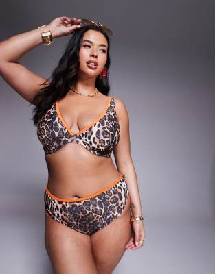 ASOS DESIGN Curve - Bikinihose mit Leopardenmuster, farblich abgesetzter Einfassung und Animalprint-Bunt