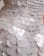 Thumbnail 4 of 5
