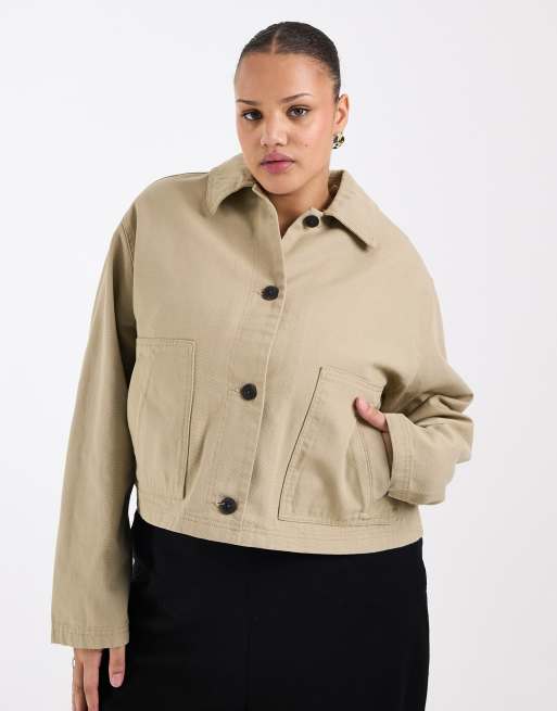 ASOS DESIGN Curve - Giacca harrington corta in cotone color fungo
