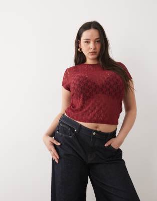ASOS DESIGN Curve - Knapp geschnittenes T-Shirt aus Spitze in Dunkelrot Rot 46