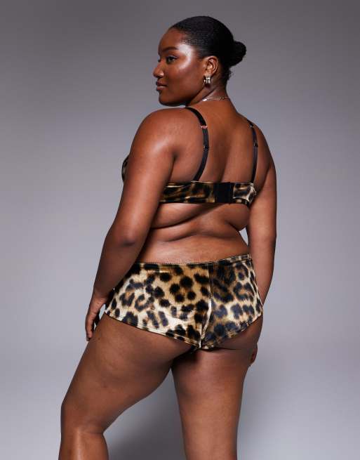 ASOS DESIGN Curve Kora leopard velvet hipster short in brown, 4 of 4