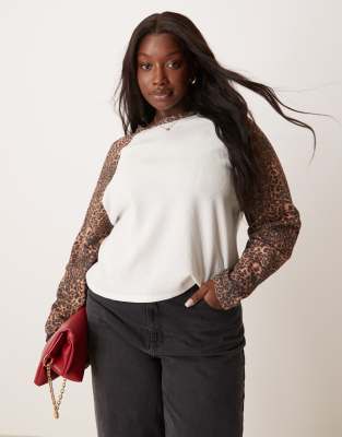 ASOS DESIGN Curve - Langärmliges T-Shirt mit Waffelstruktur und Raglanärmeln mit Leopardenmuster-Bunt