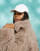 Thumbnail 3 van 4