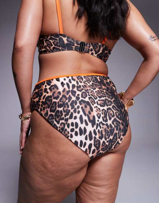 ASOS DESIGN Curve - Leo - Bikinitrusser med kontrasterende kantbånd og dyreprint, 4 af 4