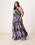 [ASOS Curve] ASOS DESIGN Curve maxi dress with raised waist seam in blown up floral print-Multi 18 floral