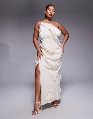 ASOS DESIGN Curve - Maxikleid in Natur mit Strukturdesign und Blumenapplikationen-Neutral