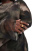 Thumbnail 3 van 4