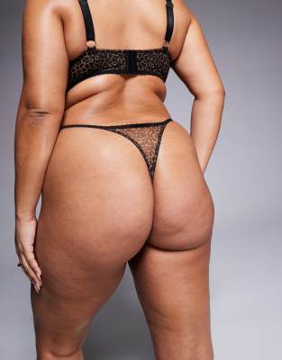 Asos Curve Asos Design Curve Naomi Underwire Bra In Lace And Leopard Print-multi In Multi