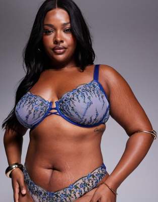 ASOS DESIGN Curve Noa premium embroidery underwired bra in navy floral - view 1
