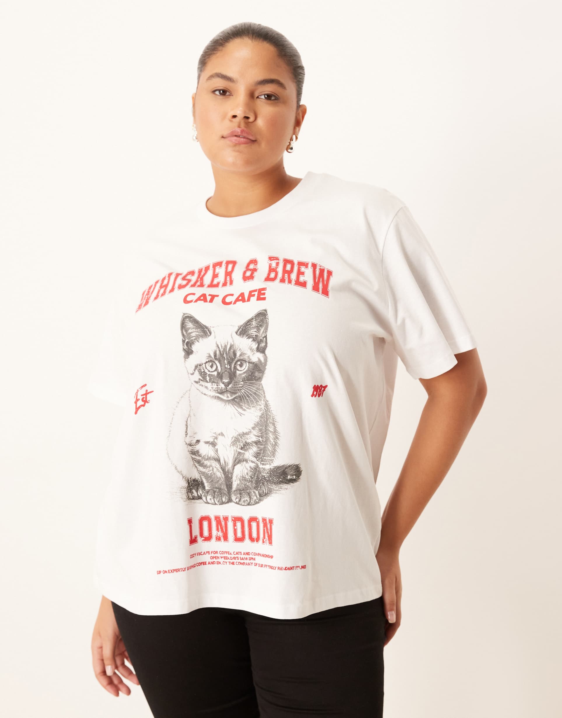 asos design curve regular fit t-shirt with cat cafe graphic in white