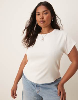 Asos Curve Asos Design Curve Shrunken Rib Knit Baby Tee
