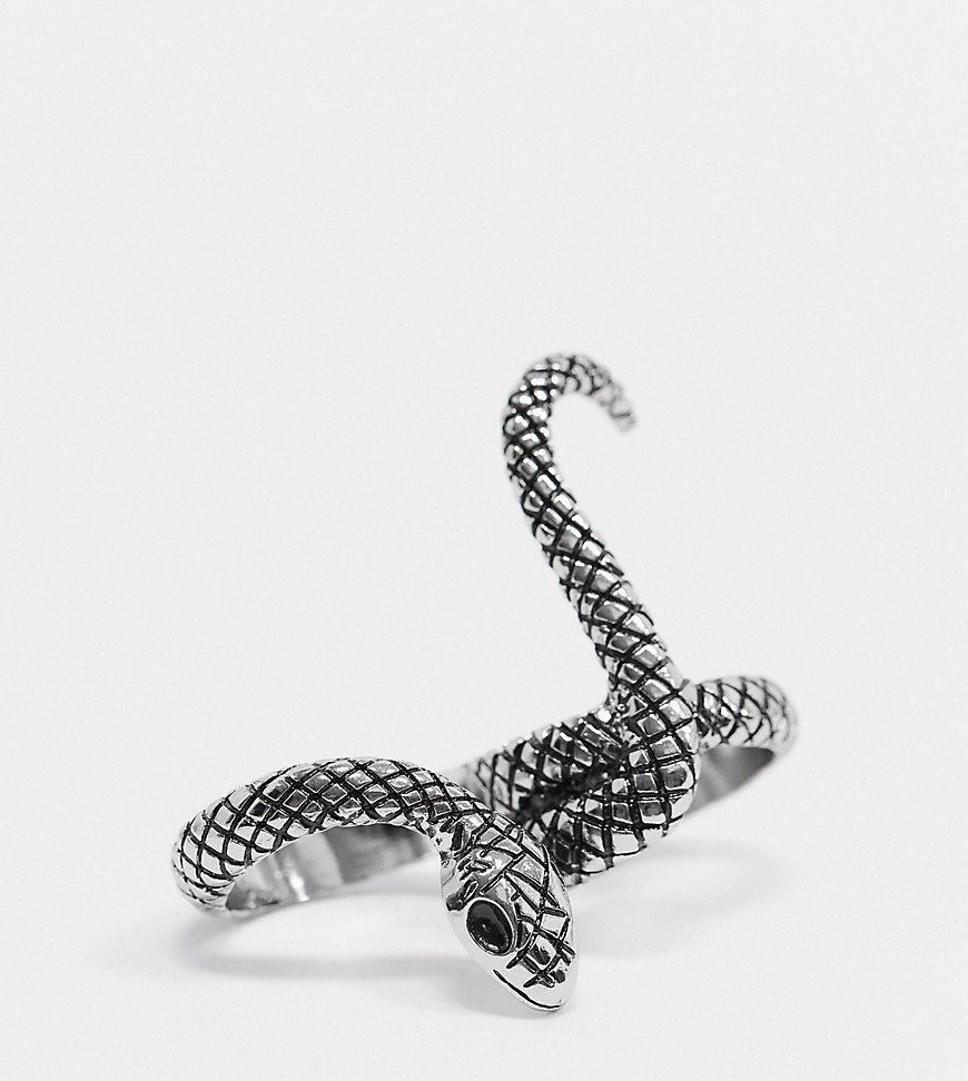 ASOS DESIGN Curve – Silverfärgad ring med ormdesign