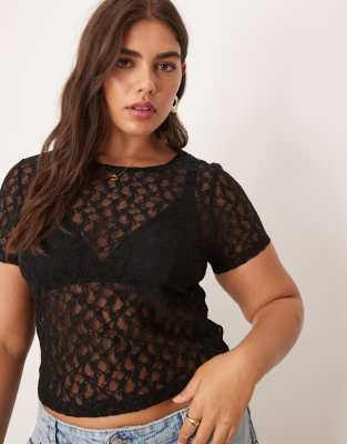 ASOS DESIGN Curve - T-shirt à manches courtes effet rétréci en dentelle - Noir