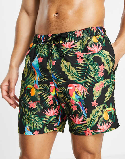 ASOS DESIGN – Czarne szorty kąpielowe średniej długości we wzór w tukany