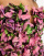 Thumbnail 3 van 4