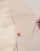 Thumbnail 5 van 5