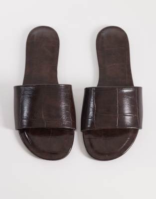 Brown 1