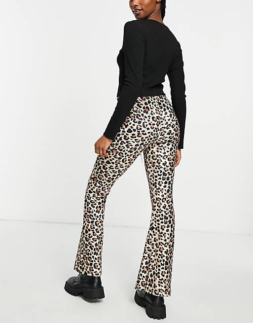 Cheetah Print Flare Pants | seeds.yonsei.ac.kr