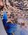 Thumbnail 3 van 5