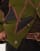 Thumbnail 3 van 4