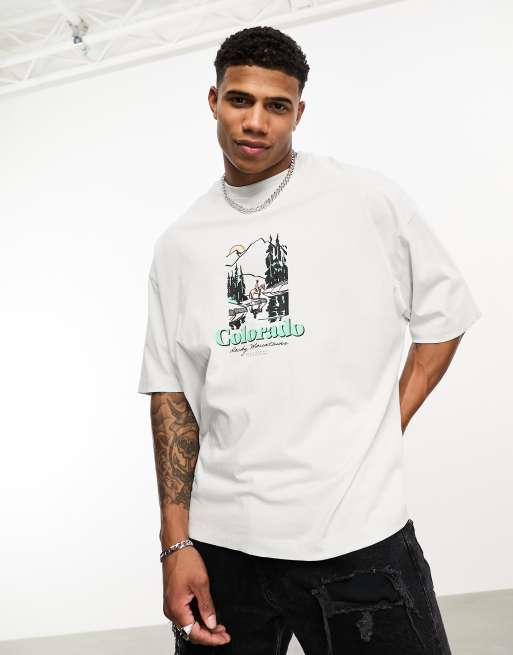ASOS DESIGN – Grå t-shirt i oversize med bergstryck framtill