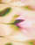 Thumbnail 2 van 3