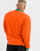 Thumbnail 2 von 4