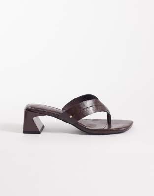 Warm Brown