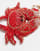 Thumbnail 3 van 3