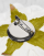 Miniatura 2 z 4