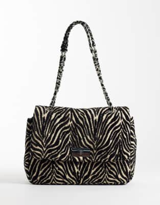 Zebra 1