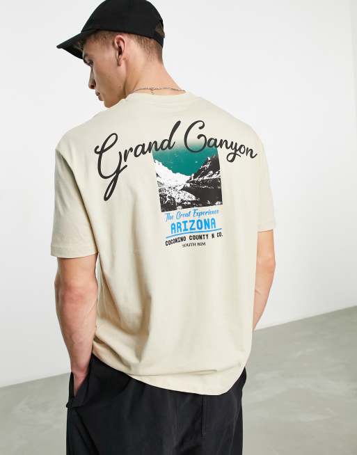 ASOS DESIGN – Lässig geschnittenes T-Shirt in Beige mit City- und Landschaftsprint am Rücken