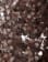 Thumbnail 5 of 5