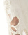 Thumbnail 2 of 4