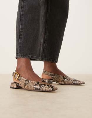 ASOS DESIGN - Loretta - Ballerinas mit Schlangenmuster, Fersenriemchen und eckiger Schuhspitze-Bunt