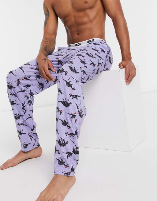 Christmas Dinosaur Adult Pants, Women's Knickers