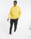 Anteprima 4 di 4