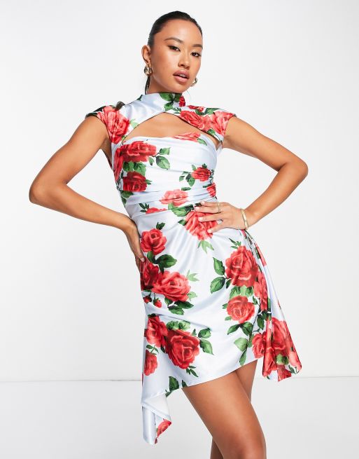 Women's Sleeveless Satin Floral Fit & Flare Mini Dress - Wild