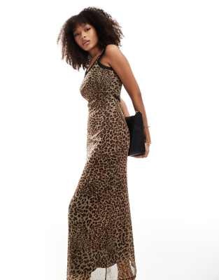 Asos Design Mesh Tie Back Midaxi Dress With Contrast Binding In Leopard Print-multi